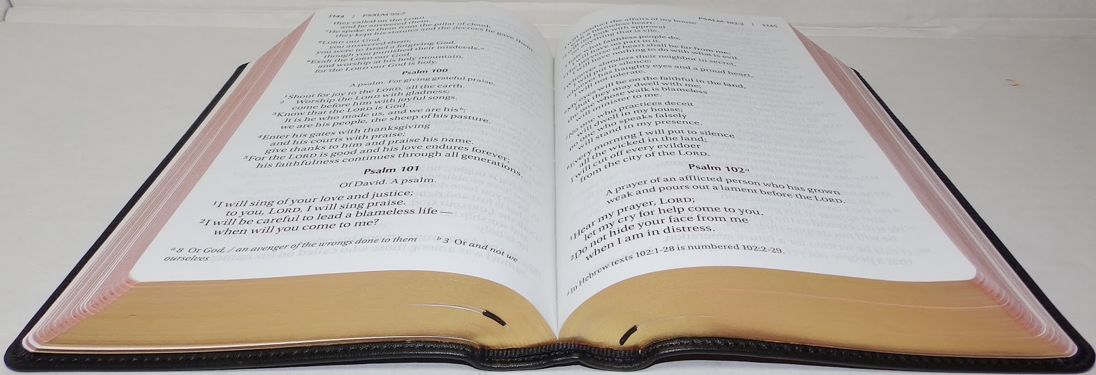 The Bible Hunter Zondervan NIV Giant Print Compact Bible