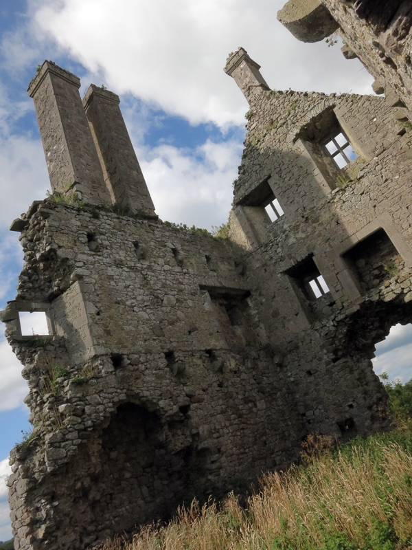 Ballycowan castle