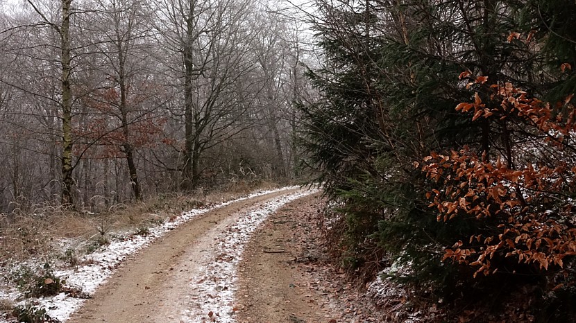 Urban Sketchers Germany Im Wiesbadener Museum