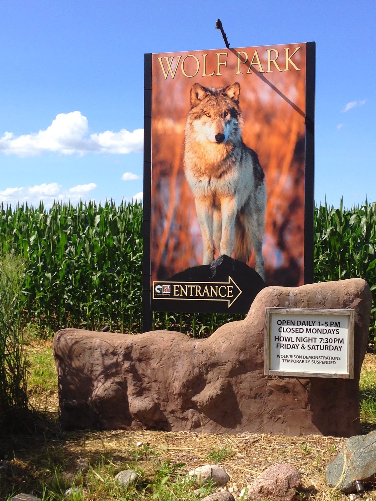 The Five Dog Blog: Living Life Simply Messy: Visiting Wolf Park
