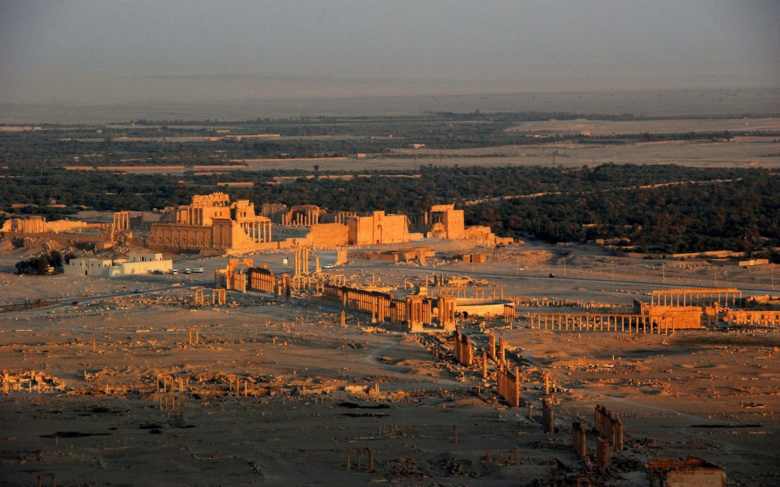 palmyra suriye rooteto