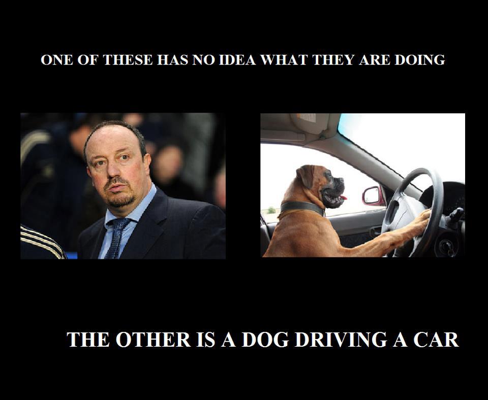 Soccer Memes official 'Soccer Memes' blog Football coach, where??