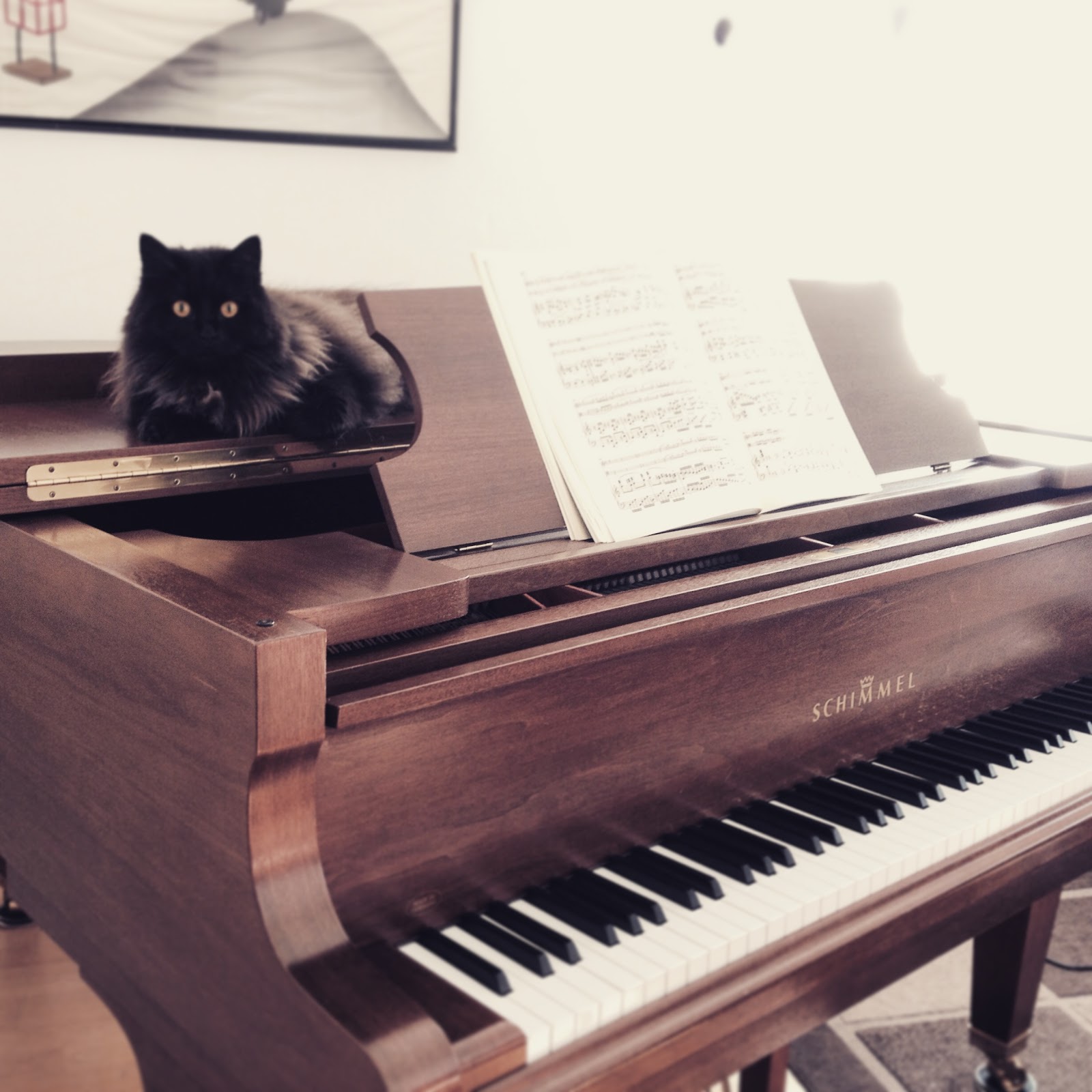 グランドピアノ搬入 ねこ 時々どいつ