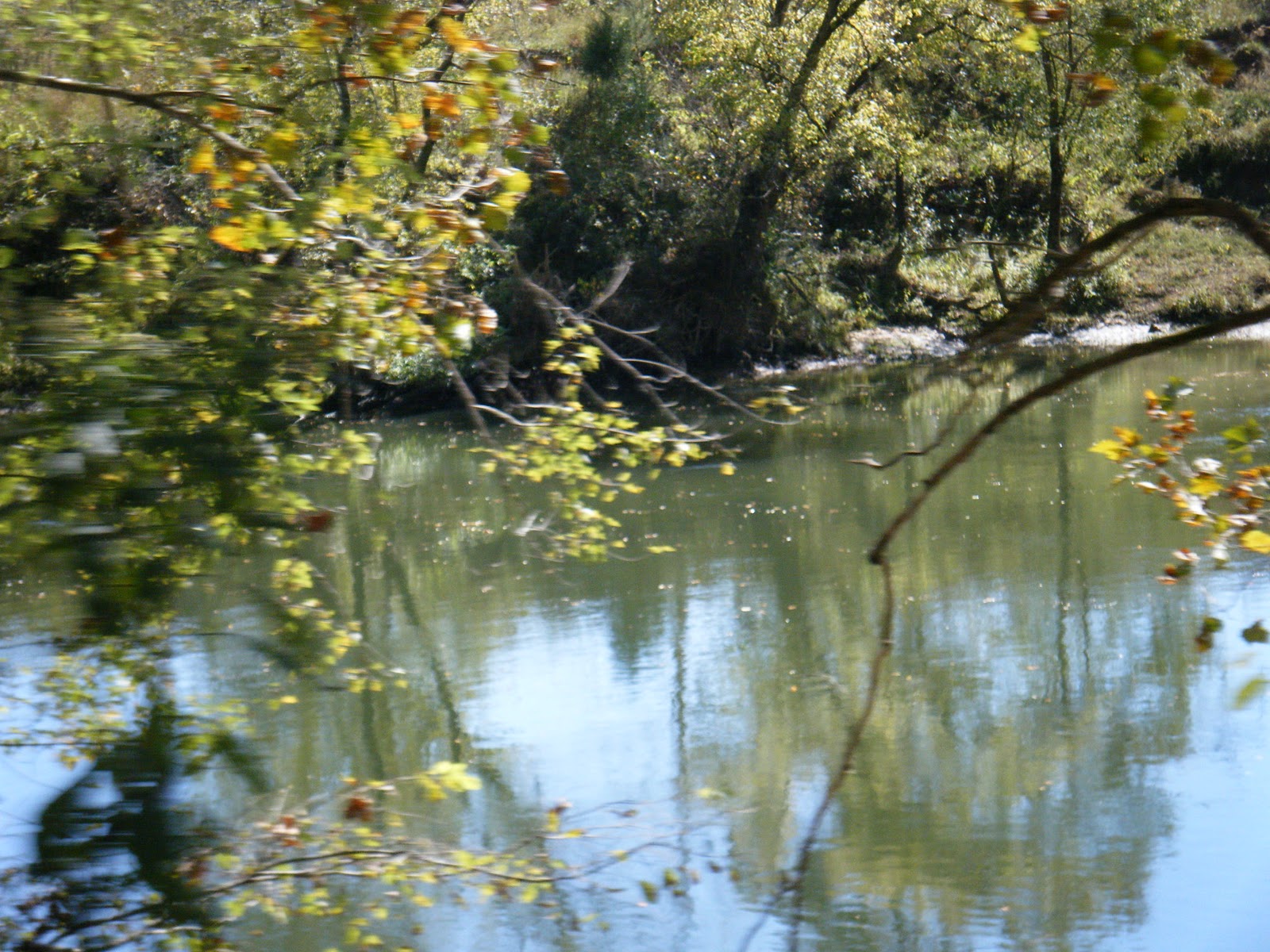 A Man, A Woman, A Harley Fall Ride to Dunlap TN and The Cookie Jar
