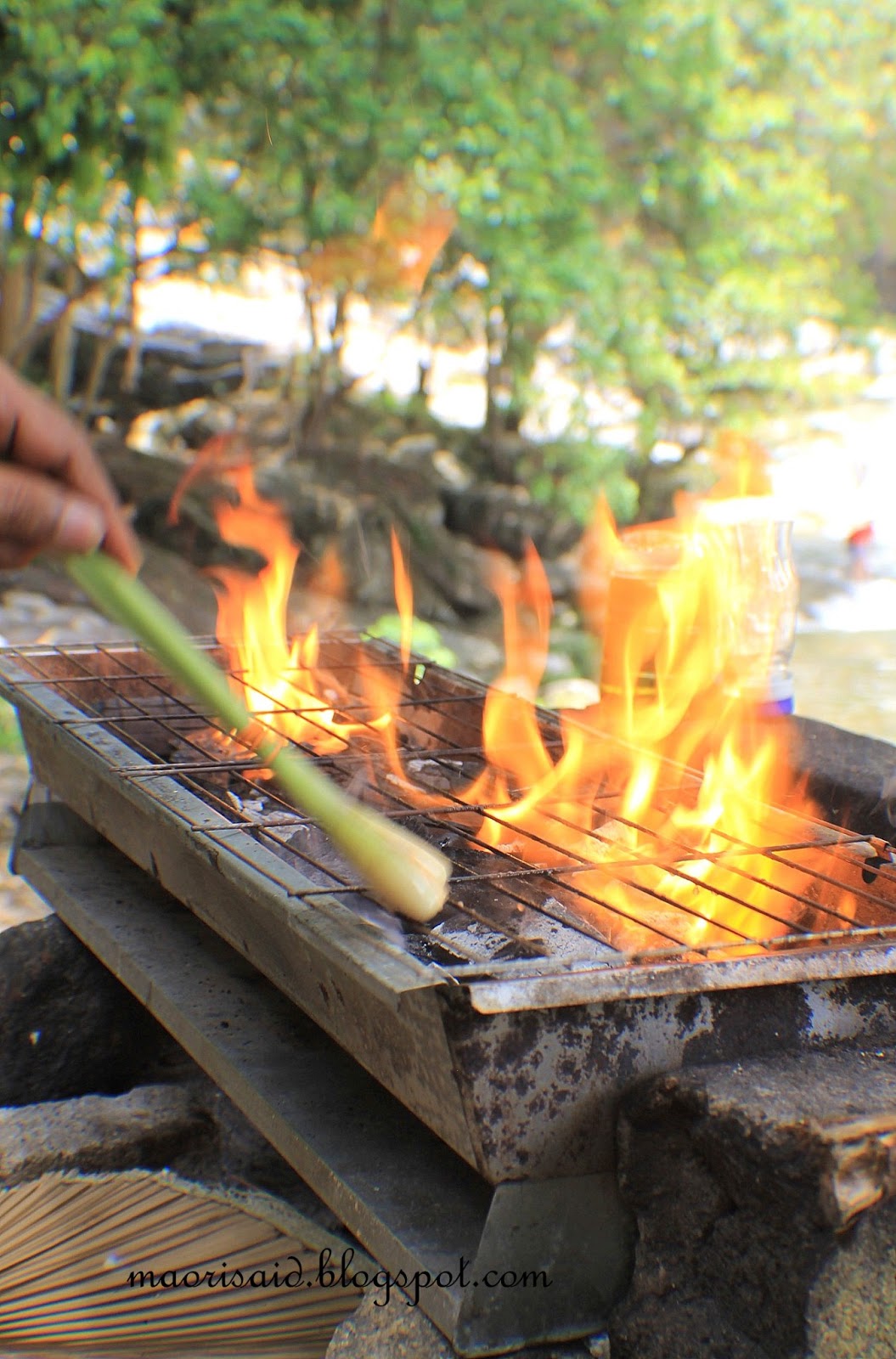 Mori's Kitchen: Berkelah sambil BBQ di Air Terjun Chamang
