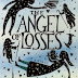 Interview with Stephanie Feldman, author of The Angel of Losses - July 28, 2014