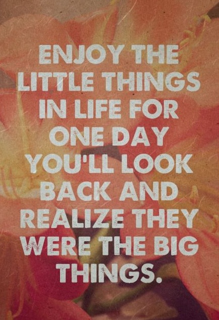 Enjoy the little things in life for one day you'll look back and realize they were the big things.