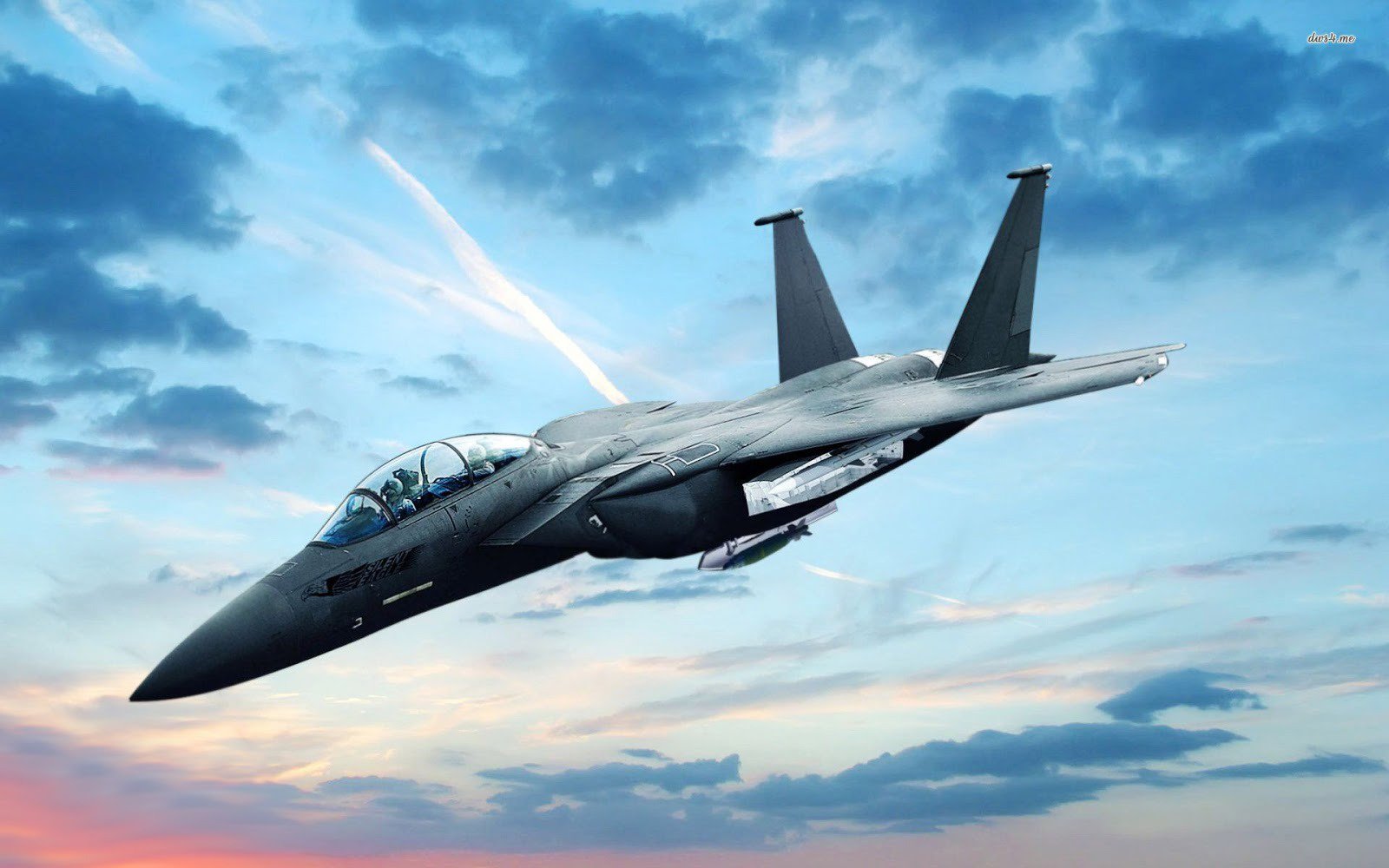 Defensa y Armas. Defensa global y avances en el desarrollo argentino. F15SE Silent Eagle