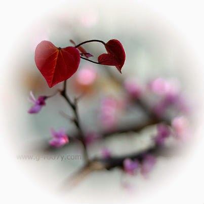 ��������� ..��������� spring-love.jpg