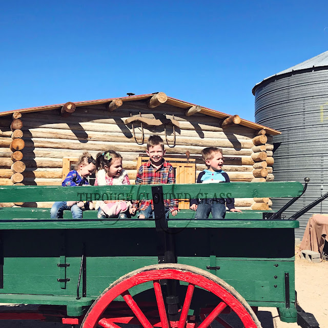 Through Clouded Glass: 100 Days Project