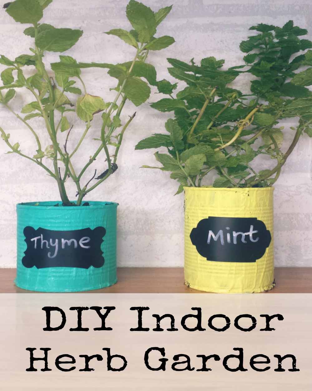 download indoor herb garden download indoor herb garden