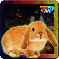 Top10NewGames Thanksgiving Rescue The Bunny