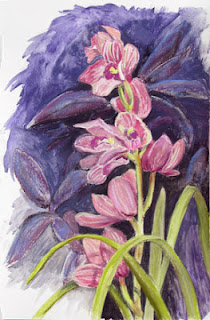 Kath Schifano, orchid painting
