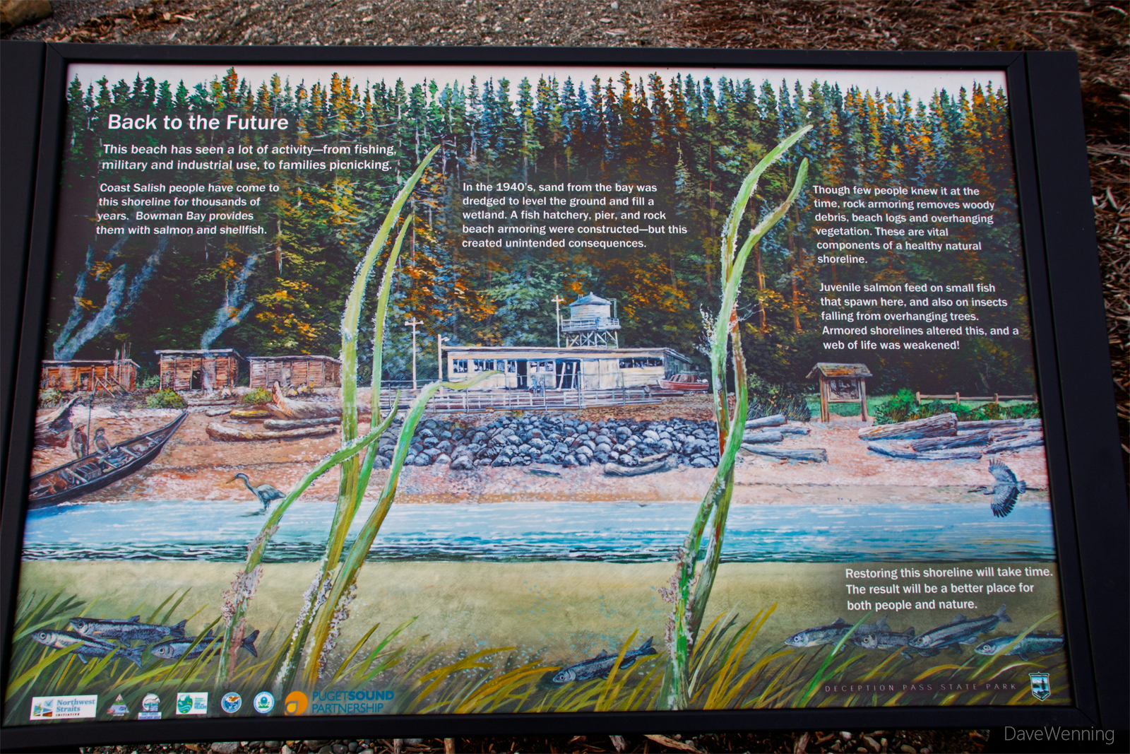 Bowman Bay Beach Restoration