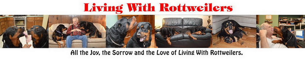 Living with Rottweilers