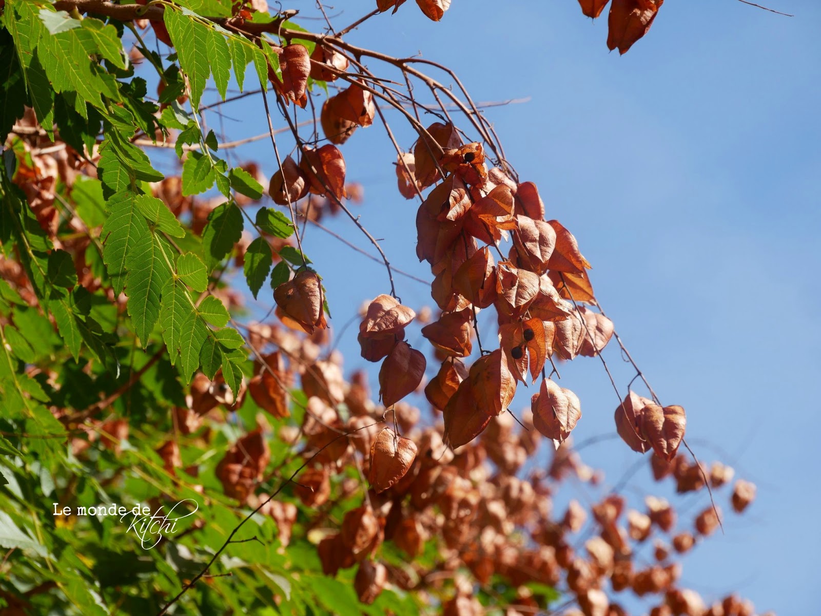 Antikondensat Fur Trapezblech Zum Pinseln Und Spritzen Zur Vermeidung Von Schwitzwasser