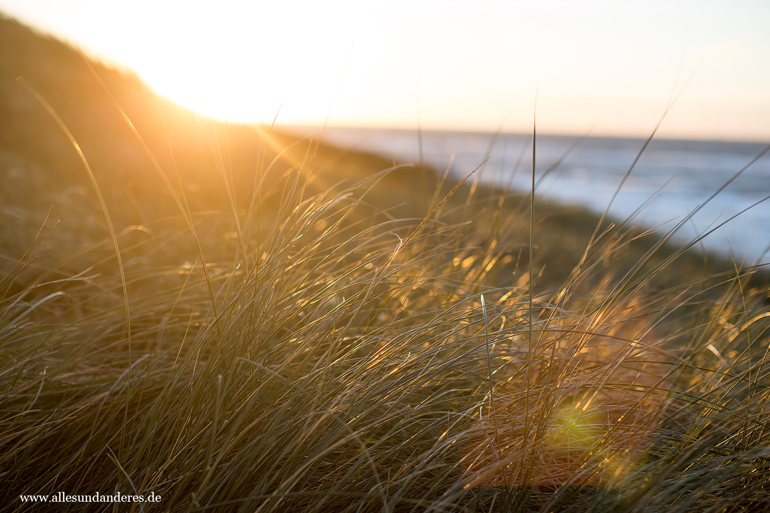 Mit Dem Richtigen Outfit Entspannt Picknicken