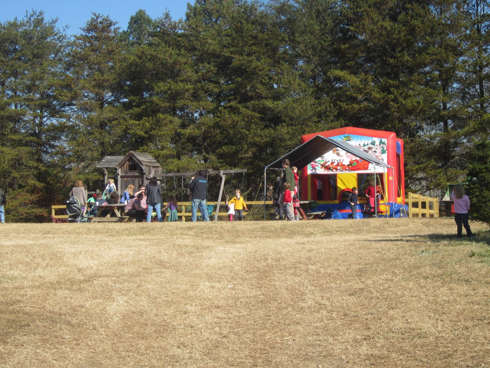 The Stir Crazy Moms' Guide to Durham Jordan Lake Christmas Tree Farm