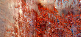 tribute to Pollock,nature imitating art,abstract landscapes of deserts of Africa,Abstract Naturalism,abstract photography deserts of Africa from the air,abstract surrealism,abstract expressionism,red tribute to Pollock,nature imitating art,abstract landscapes of deserts of Africa,Abstract Naturalism,abstract photography deserts of Africa from the air,abstract surrealism,abstract expressionism,red