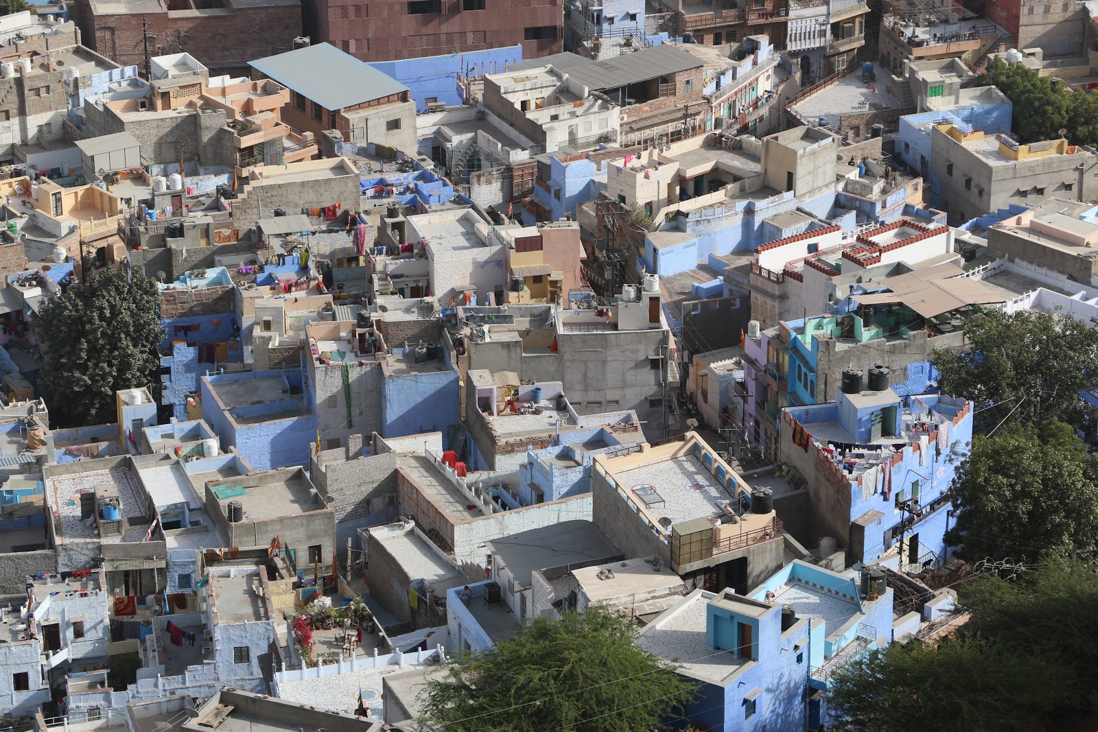 The Wheel POTD Jodhpur, the Blue City