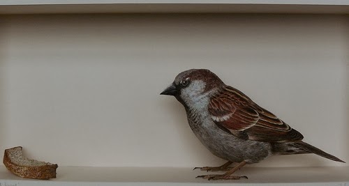 09-House-Sparrow-2-Johan-Scherft-Living-Paper-Birds-Sculptures-Watercolours-www-designstack-co