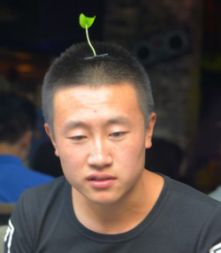 Chinese Sprout Trend, 2015