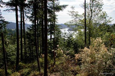 Campbell Lake from the John Tursi Trail