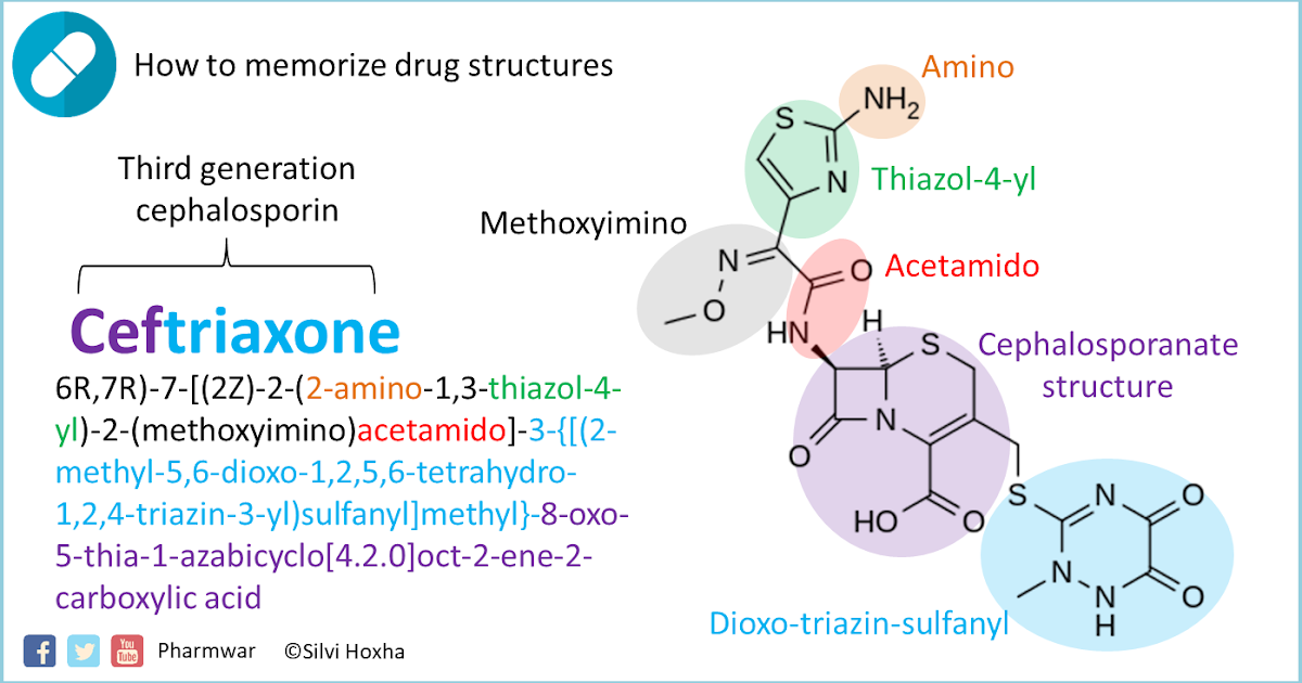 ceftriaxone gram negative rods