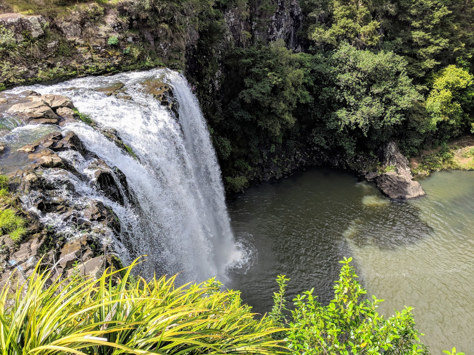 Paihia to Auckland Whangarei Falls