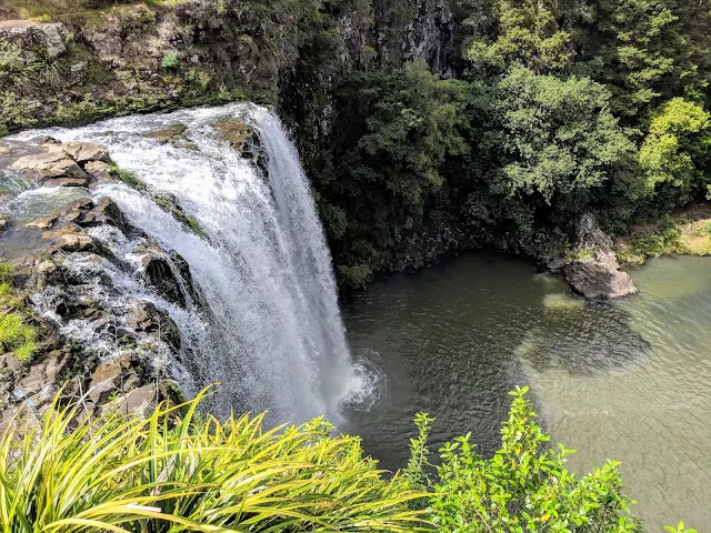 Paihia to Auckland: Whangarei Falls