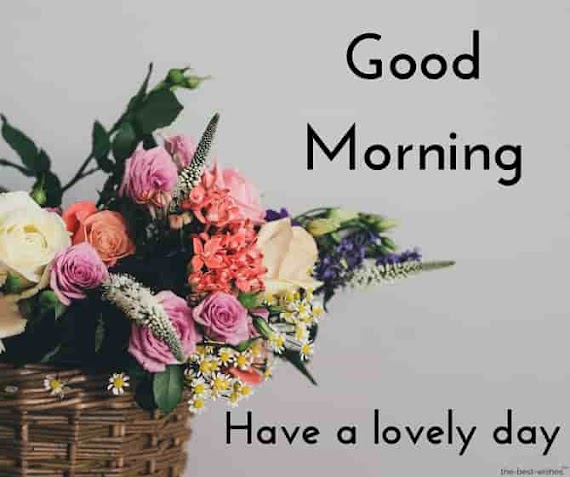 Cute Lovely Gud Morning Images