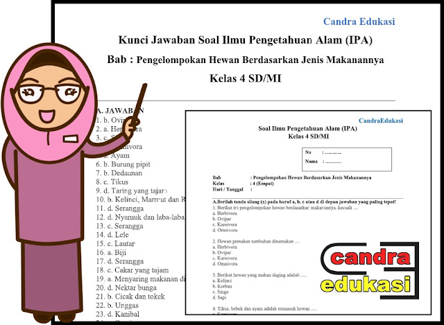 Soal Ipa Kelas 4 Semester 1 Cuilan Pengelompokan Binatang Menurut