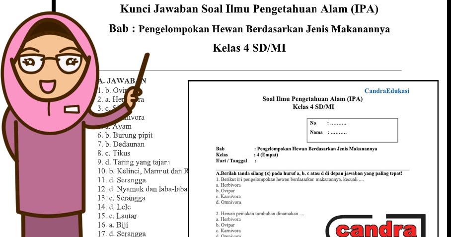 Soal Ipa Kelas 4 Semester 1 Bab Pengelompokan Hewan Berdasarkan Jenis Makanannya