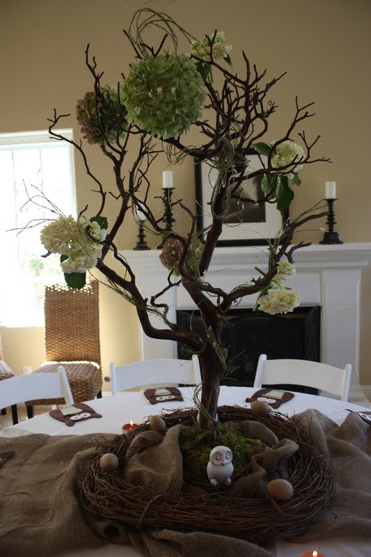 Calico And Cupcakes Celebrating With Jenny Owl Themed