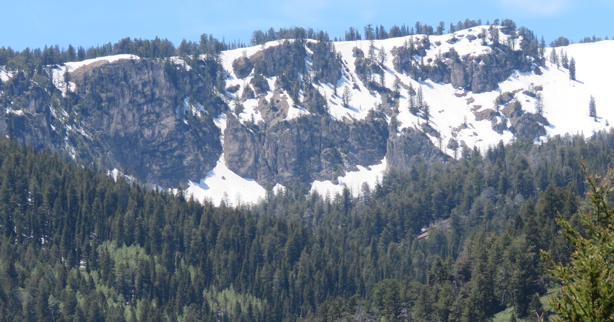 RMSO Bigfoot Scare Canyon Bigfoot