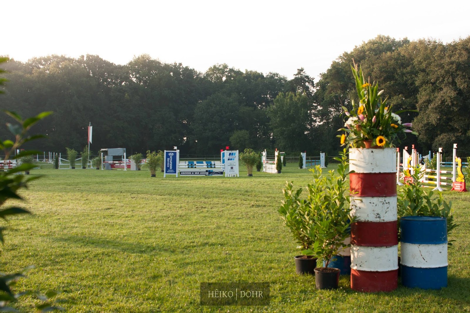 Pferdesport Kreis Kleve