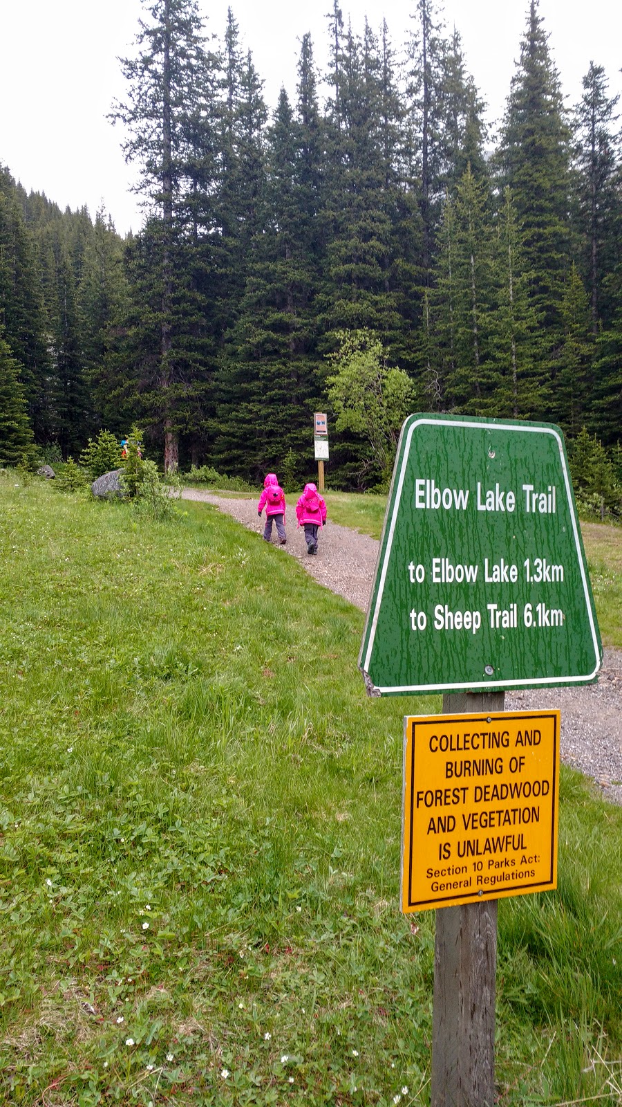 Camping at Elbow Lake Backcountry Campground Play Outside Guide