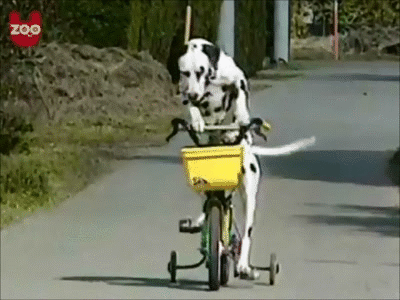 bicycle, περίεργα ποδήλατα