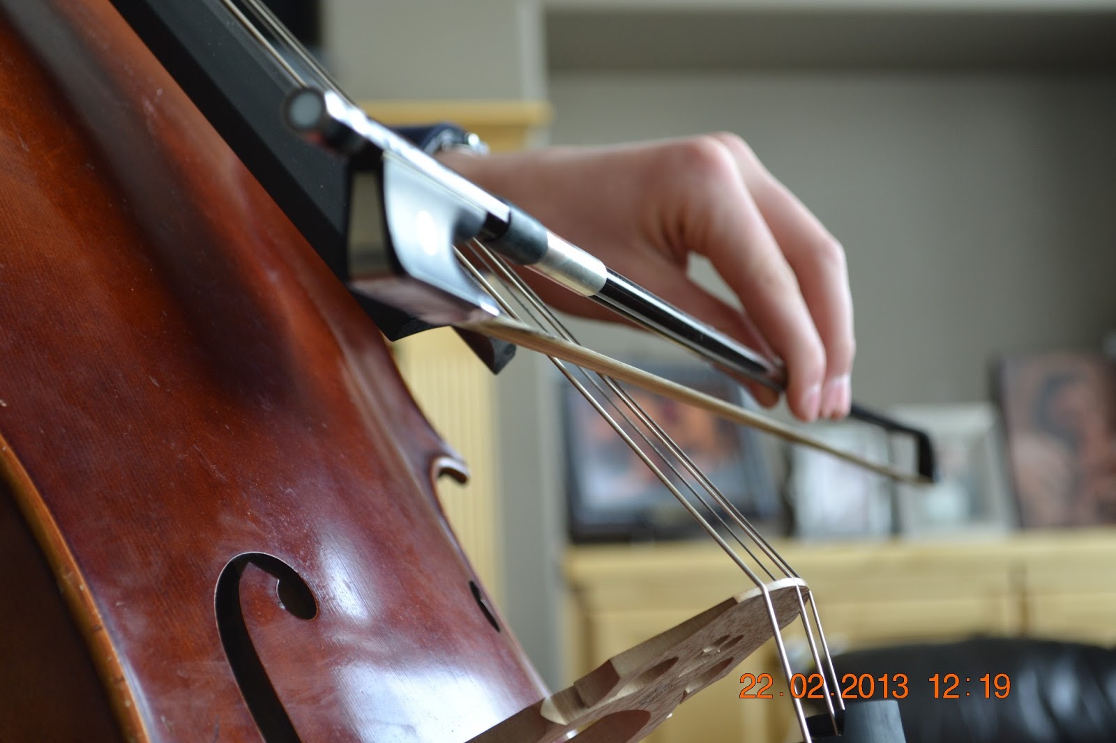 Andrew's Almanac: Cello 101!