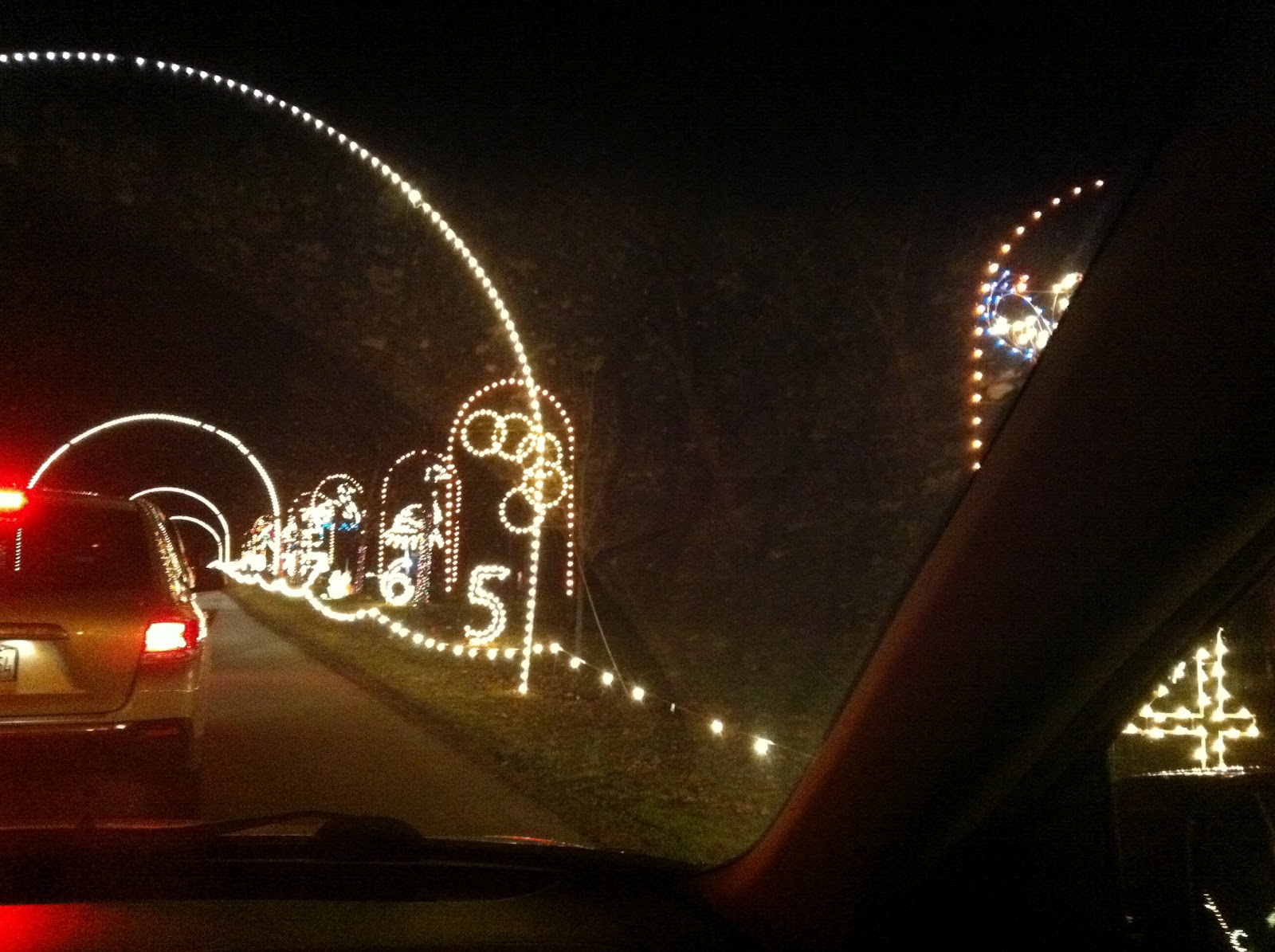 The Meidel Family Cuneo Museum Lights!