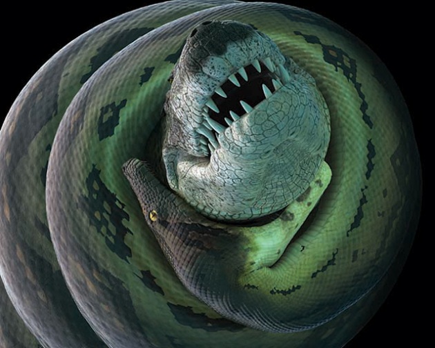 Titanoboa, il serpente gigante lungo quanto un autobus Mondo Tempo Reale Titanoboa, il serpente gigante lungo quanto un autobus Mondo Tempo Reale
