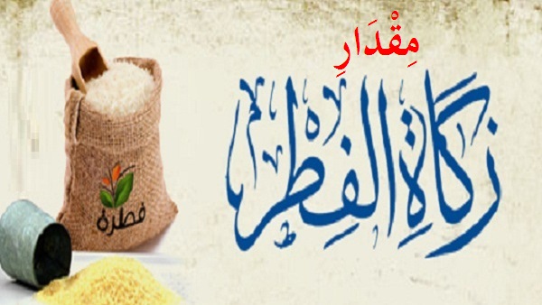 المكتبة الإسلامية كم MQDRZKALFTTB آل صعب ولمد د