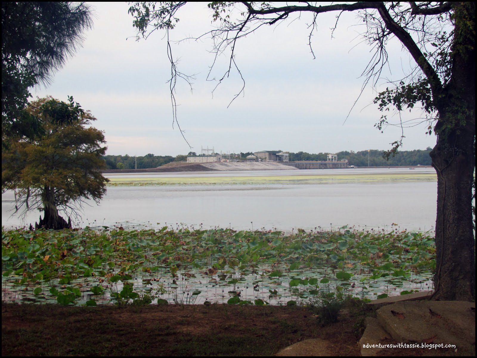 Our Adventures with "Josie" Jim Woodruff Dam Chattahoochee, Florida