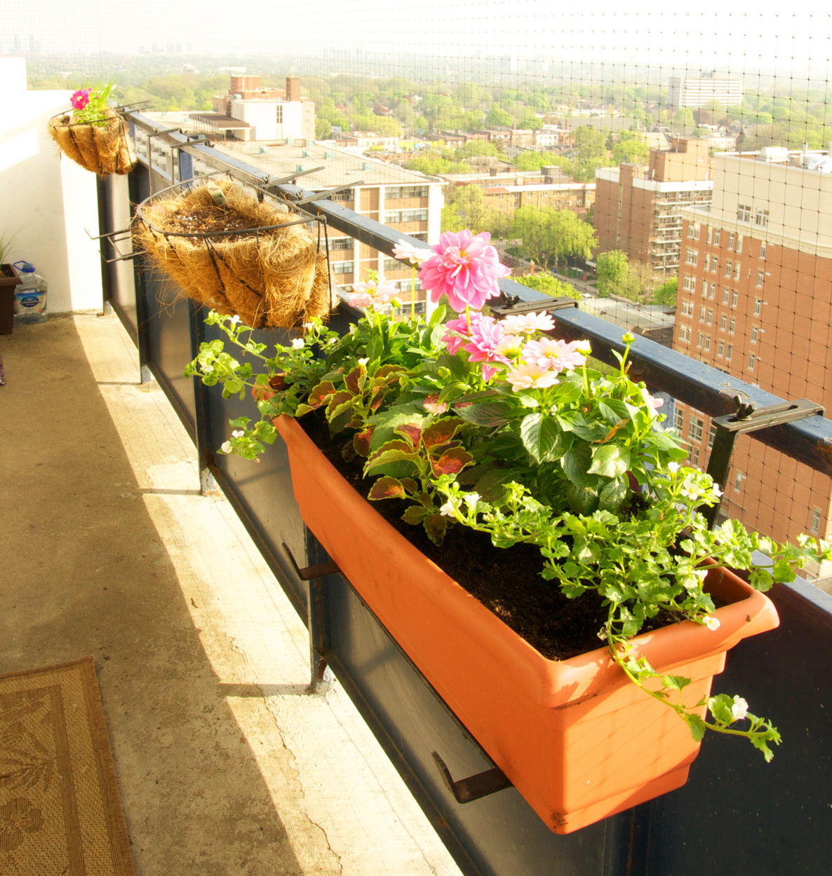Toronto Balcony Gardening West Side Railing Balcony Container