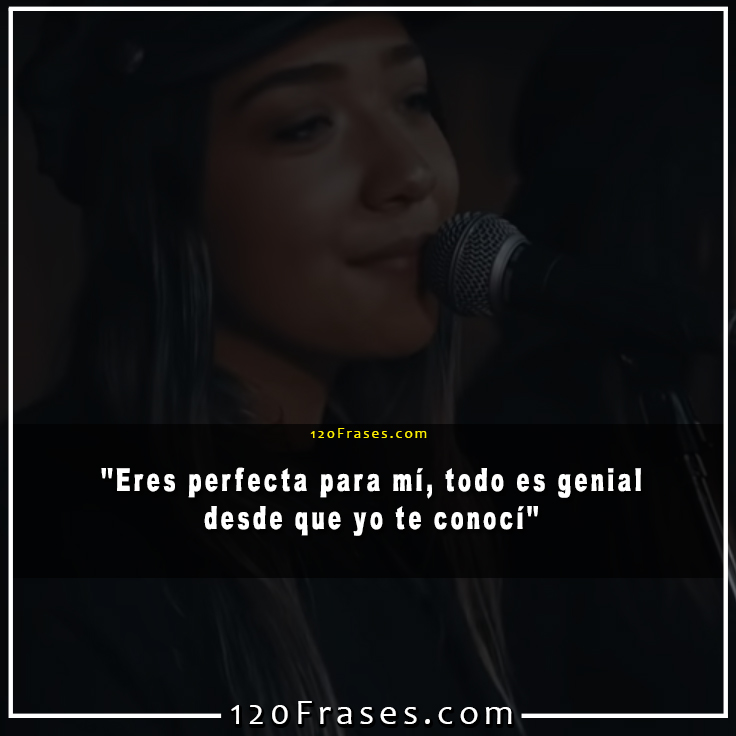 Frases De Comisario Pantera Perfecta 120 Frases frases de comisario pantera perfecta