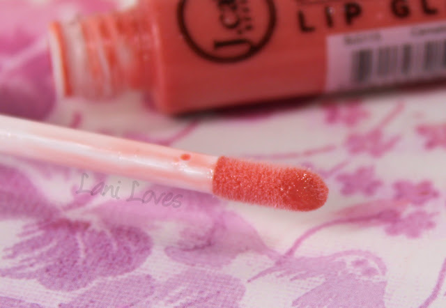 J.Cat Beauty Eternal Shine Lip Glaze - Carnation Swatches & Review