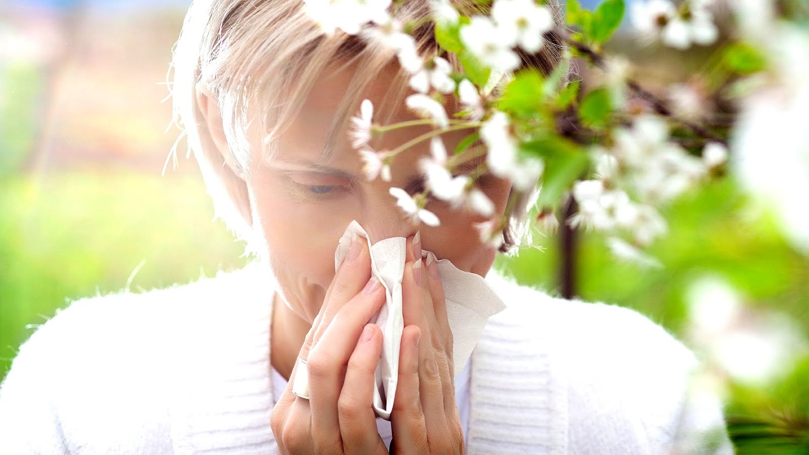 Pollen Allergies Home Remedies Medicine Medicine Choices