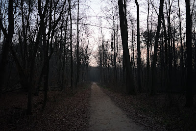 okolice Zaborowa Leśnego