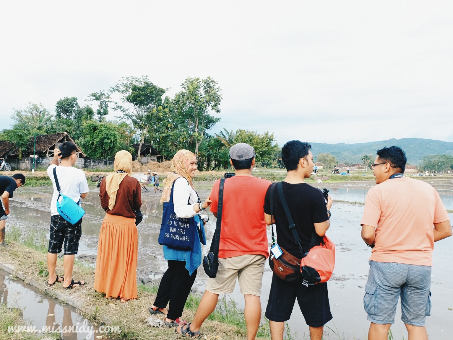 wisata menanam padi di desa wisata kebon agung bantul yogyakarta