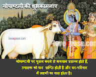 Gopashtami, the festival of cow worship today, the tradition of worshiping  cows and calves with Shri Krishna on this day | गोपाष्टमी कल, इस दिन  श्रीकृष्ण के साथ गाय और बछड़ों की